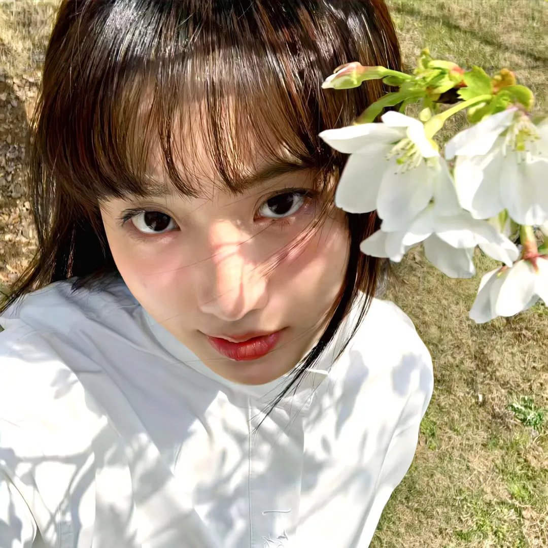 集中营碧血花